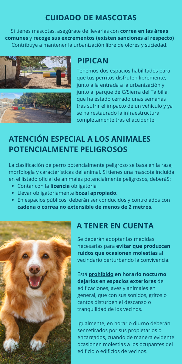 mascotas-2