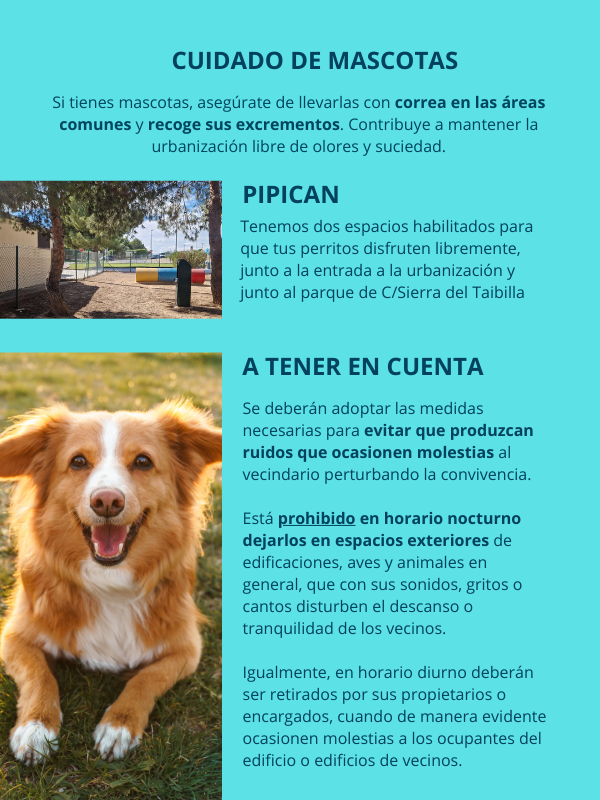 mascotas